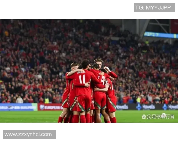 中国与威尔士足球赛精彩录像回放全程分析与精彩瞬间集锦