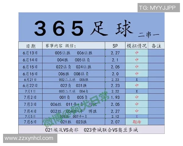 埃及与南非经济对比分析：发展模式与挑战探讨