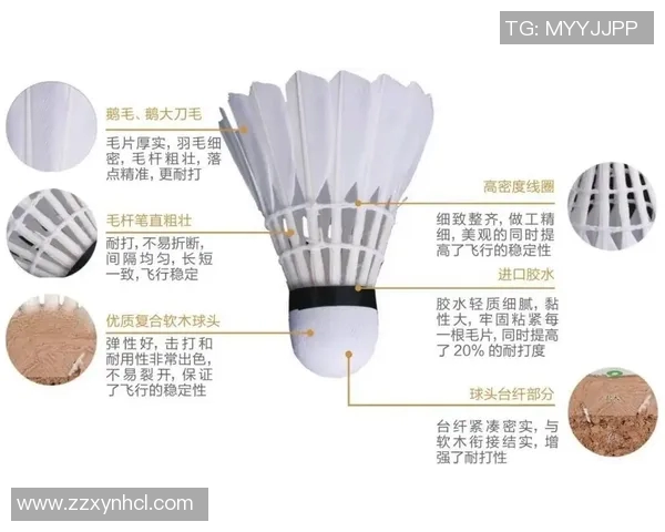 重庆羽毛球队防反战术解析：深度剖析羽毛球竞技的策略与技巧